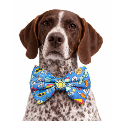 SUMMER VIBES - DAPPER DEXTER DOG BOW TIE
