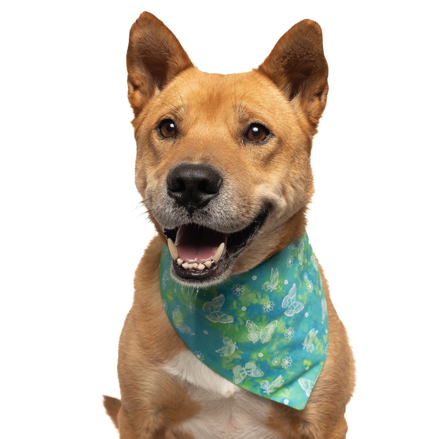 TIE DYE BUTTERFLY - CLASSIC DOG BANDANA