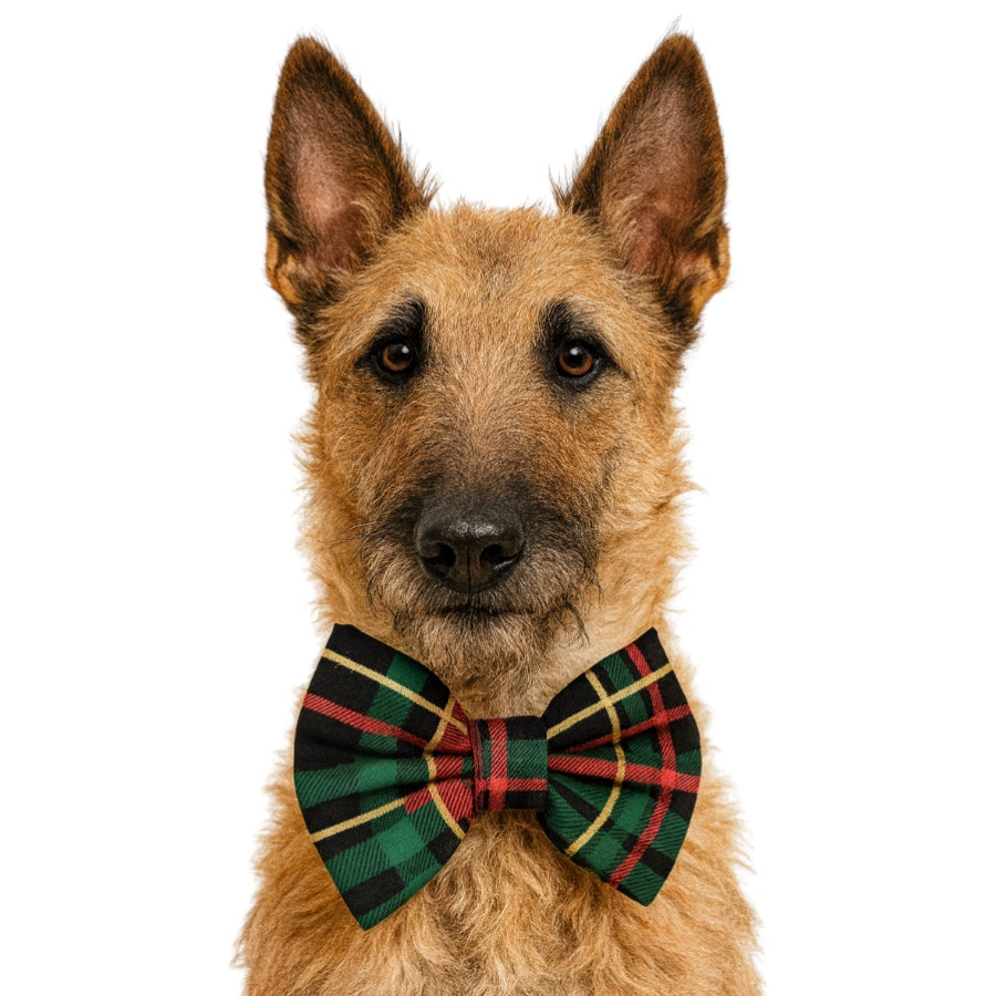 BLACK W/ GLITTER HOLIDAY PLAID- DAPPER DEXTER DOG BOW TIE