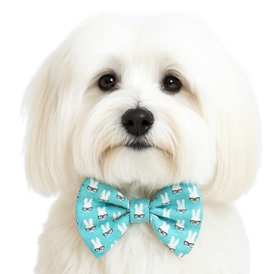 HIPSTER BUNNY- DAPPER DEXTER DOG BOW TIE