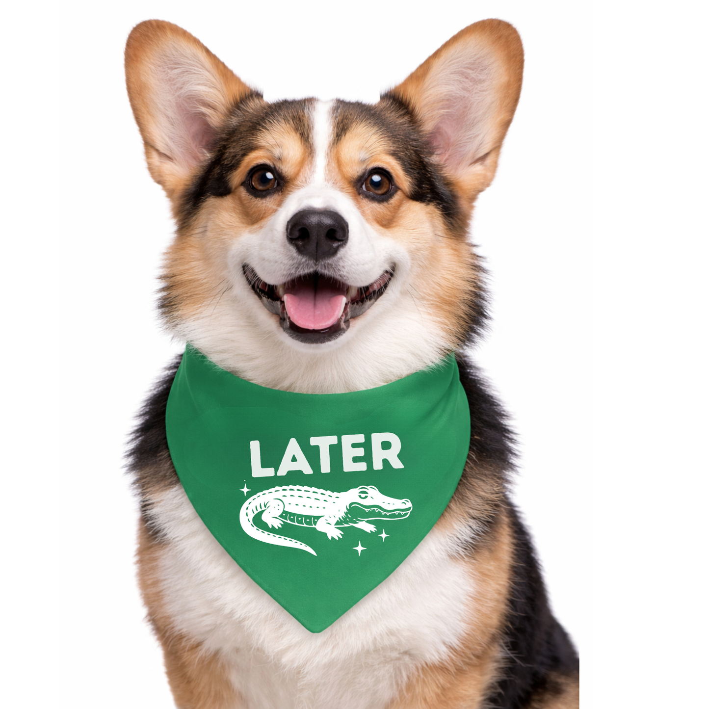 LATER GATOR - CLASSIC DOG BANDANA