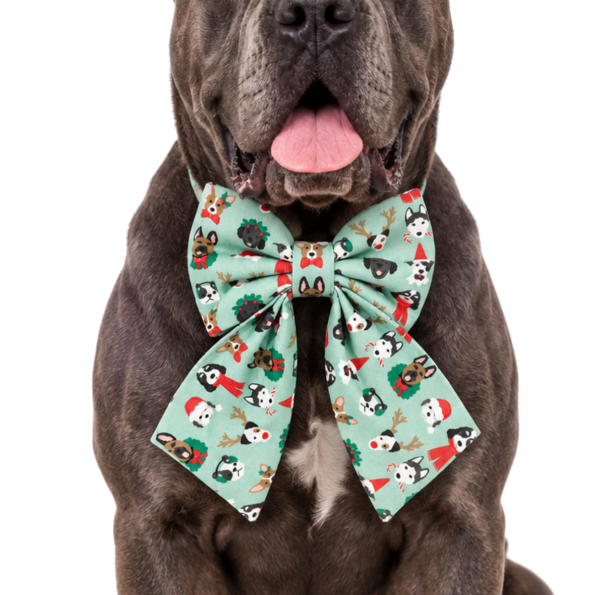CHRISTMAS DOGGOS - SAILOR BOW