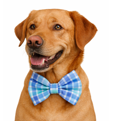 NEW BLUE PLAID - DAPPER DEXTER DOG BOW TIE
