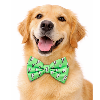 LIGHTENING BOLTS- DAPPER DEXTER DOG BOW TIE