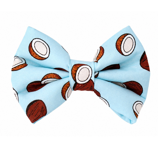 COCONUTS- DAPPER DEXTER DOG BOW TIE