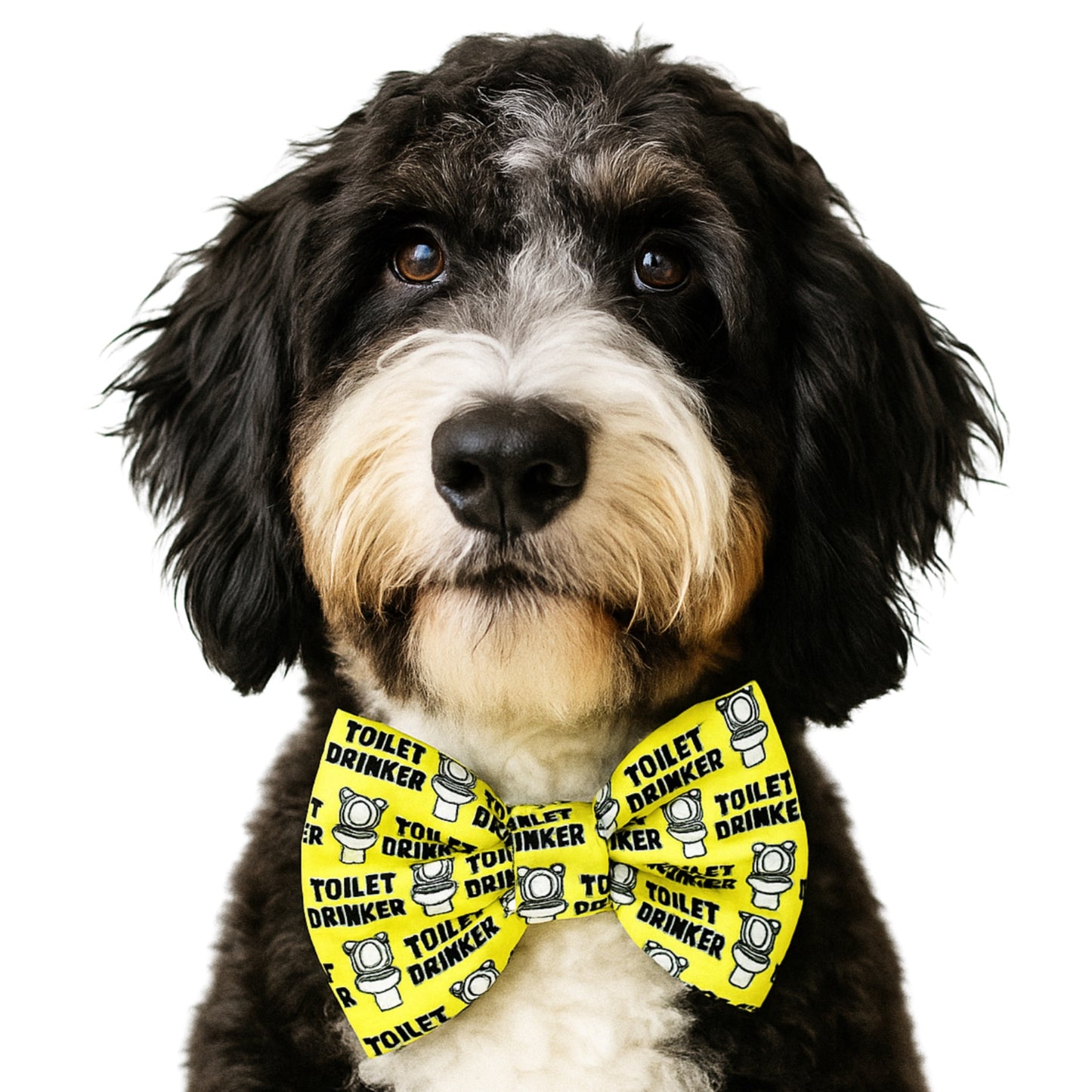 TOILET DRINKER - DAPPER DEXTER DOG BOW TIE