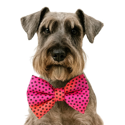 MAGENTA DOTS- DAPPER DEXTER DOG BOW TIE