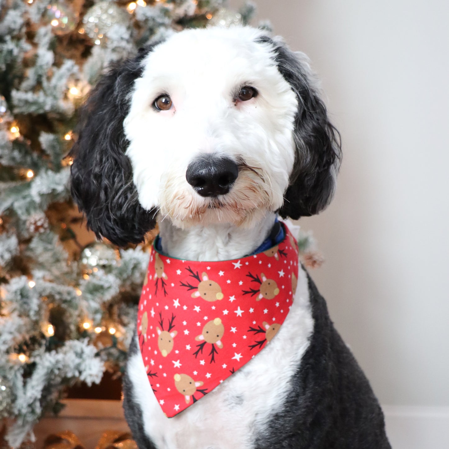 REINDEER -  CLASSIC DOG BANDANA