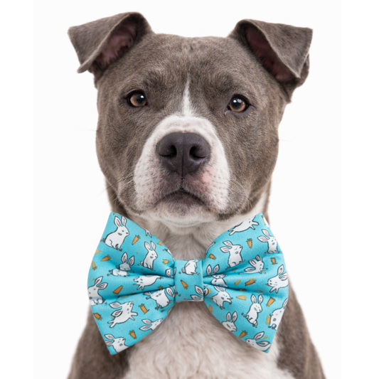 BLUE BUNNIES - DAPPER DEXTER DOG BOW TIE