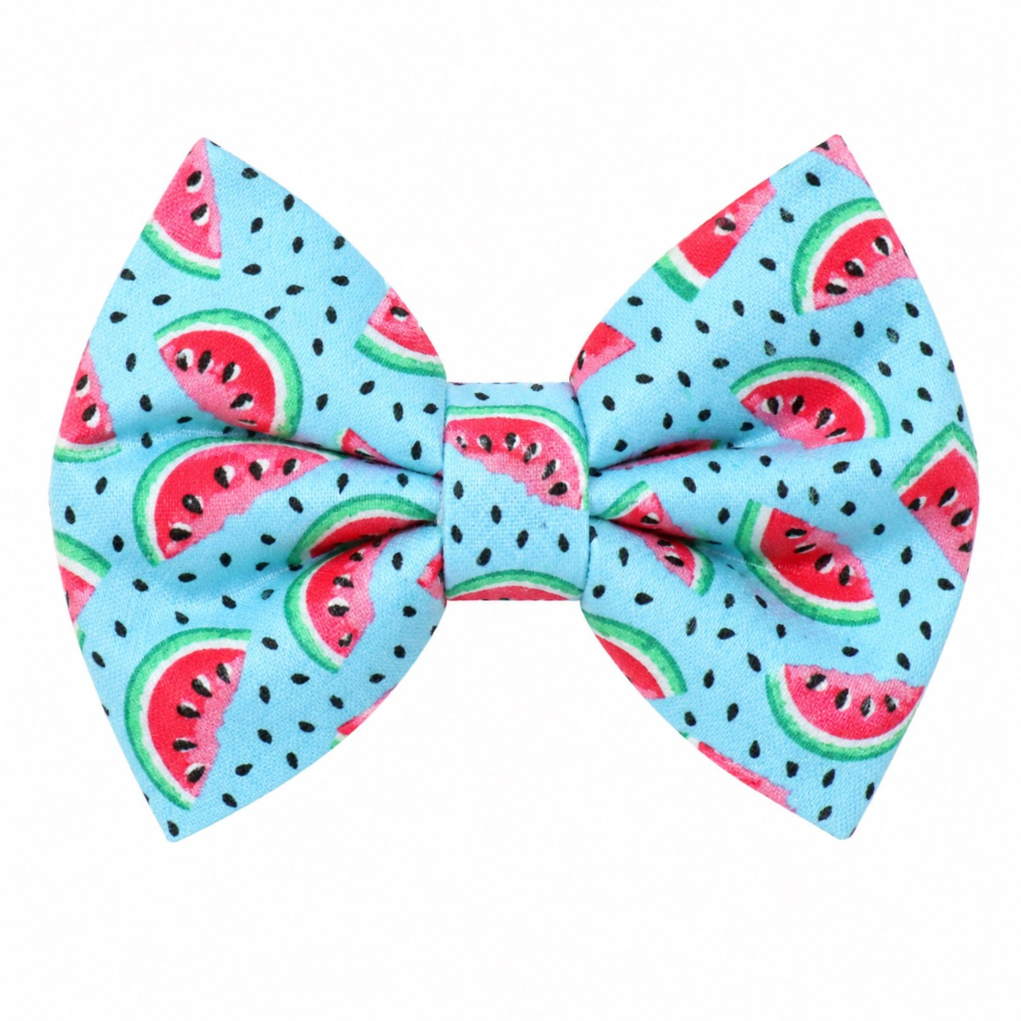 WATERMELON (TEAL)- DAPPER DEXTER DOG BOW TIE