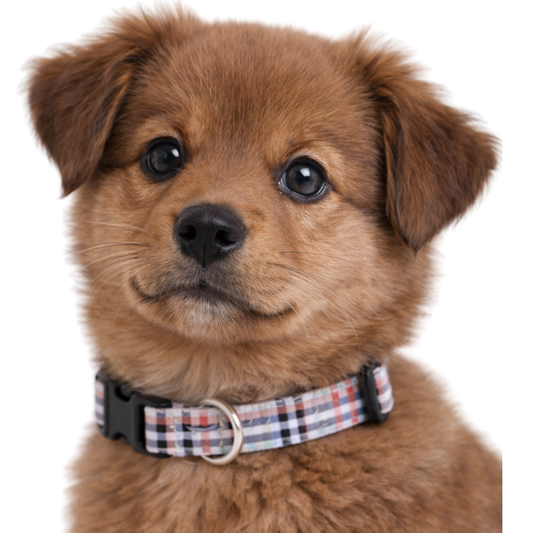 TAN PLAID - EXTRA SMALL COLLAR