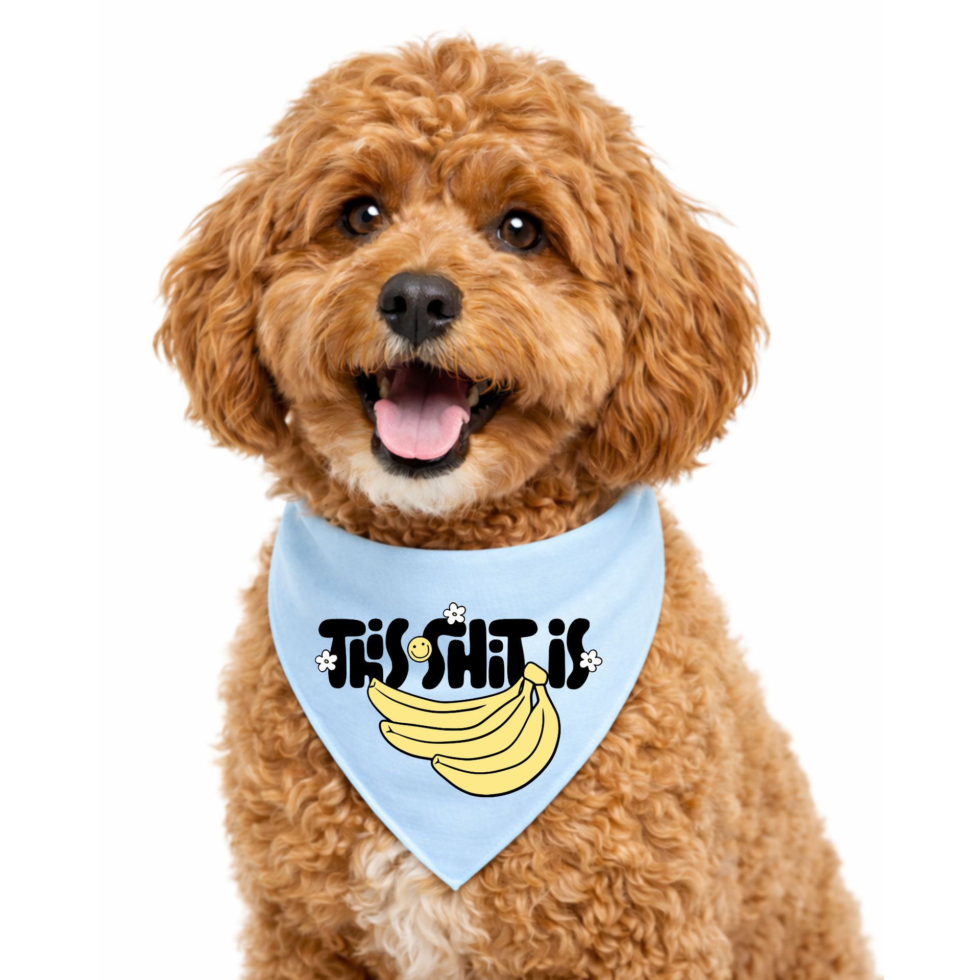THIS SHIT IS BANANAS- CLASSIC DOG BANDANA – Dapper Dexter