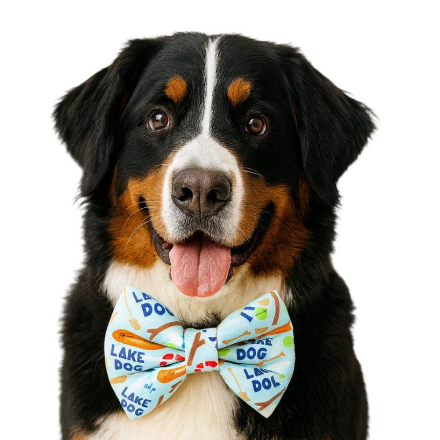 LAKE DOG - DAPPER DEXTER DOG BOW TIE
