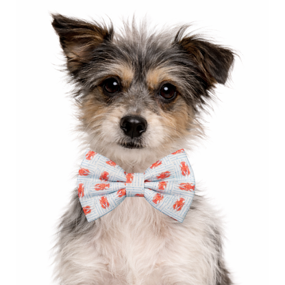 LOBSTERS - DAPPER DEXTER DOG BOW TIE
