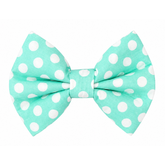 MINT GREEN POLKA DOTS - DAPPER DEXTER DOG BOW TIE