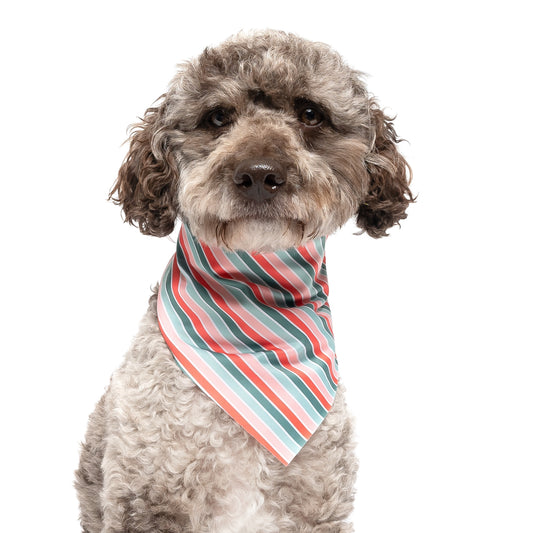 JOLLY STRIPES - TRIANGLE DOG BANDANA BY DAPPER DEXTER