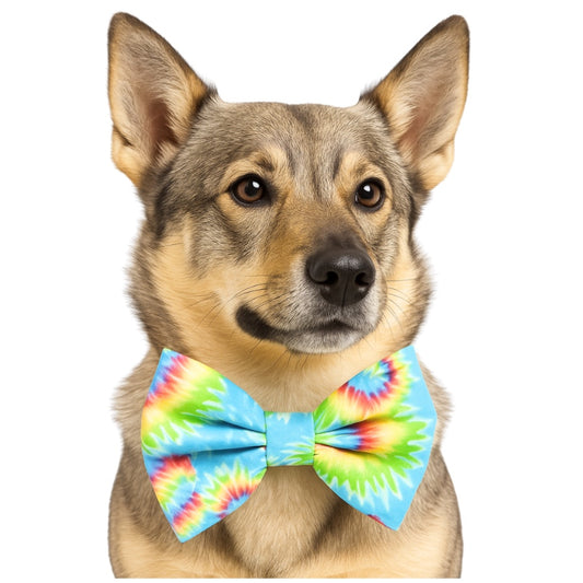 PASTEL TIE DYE - DAPPER DEXTER DOG BOW TIE