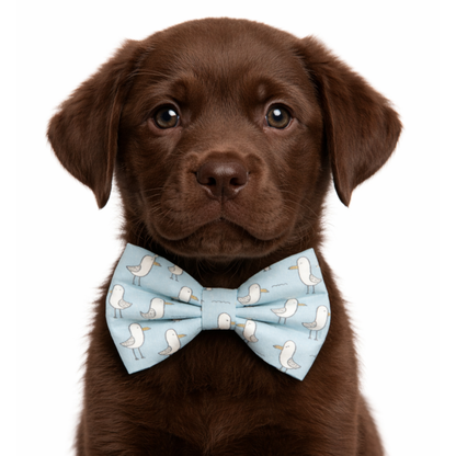 SEAGULLS - DAPPER DEXTER DOG BOW TIE