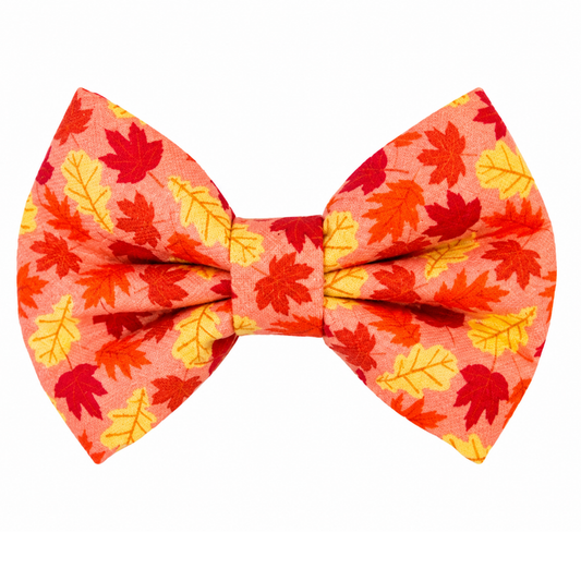 FALL LEAVES-  DAPPER DEXTER DOG BOW TIE