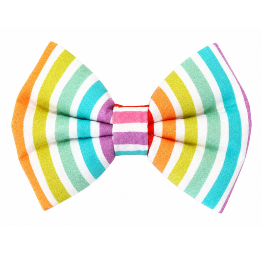 BEACH UMBRELLA STRIPES- DAPPER DEXTER DOG BOW TIE