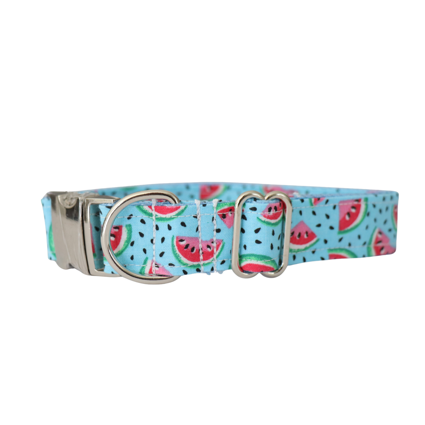 WATERMELON (TEAL) - DOG COLLAR