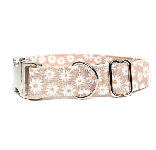 TAN DAISY - DOG COLLAR