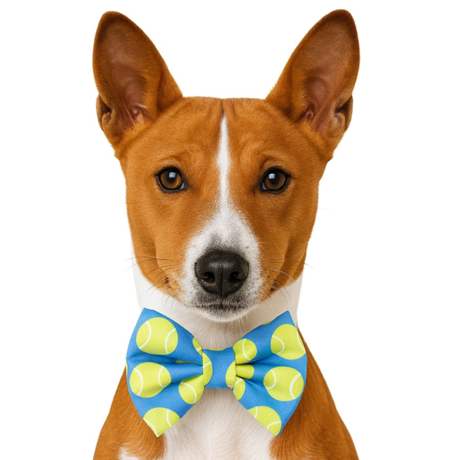TENNIS BALL- DAPPER DEXTER DOG BOW TIE