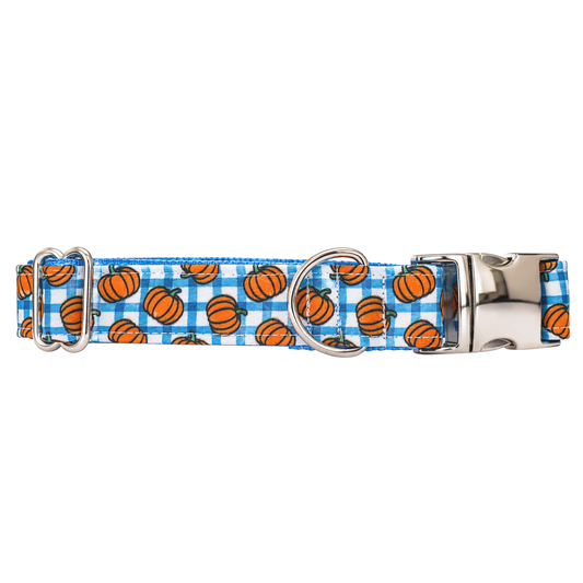 BLUE PLAID PUMPKINS - DOG COLLAR