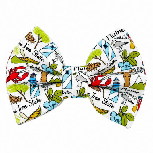 MAINE - DAPPER DEXTER DOG BOW TIE