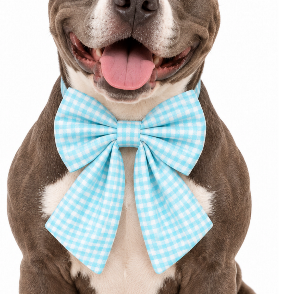 AQUA GINGHAM SEERSUCKER - SAILOR BOW