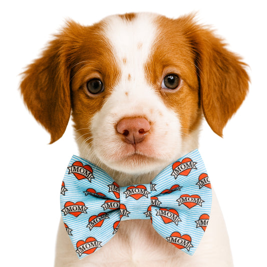 MOM - DAPPER DEXTER DOG BOW TIE