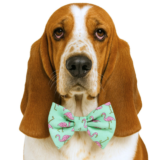 FLAMINGO- DAPPER DEXTER DOG BOW TIE