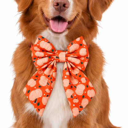 PUMPKINS (ORANGE) - SAILOR BOW