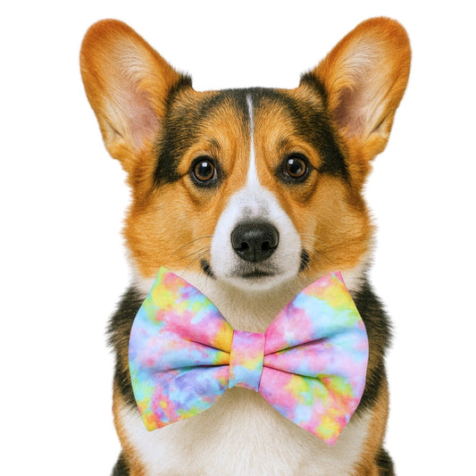 NEON TIE DYE - DAPPER DEXTER DOG BOW TIE