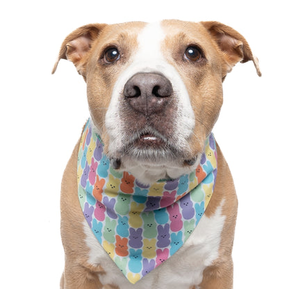 EASTER CANDY - CLASSIC DOG BANDANA