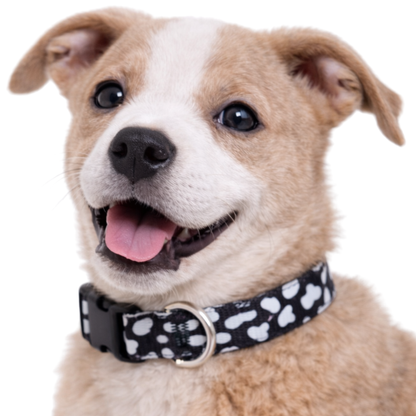 BLACK AND WHITE ANIMAL PRINT - EXTRA SMALL COLLAR