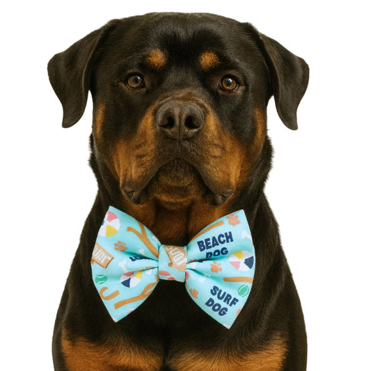 BEACH DOG - DAPPER DEXTER DOG BOW TIE