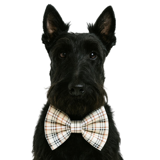 TAN PLAID- DAPPER DEXTER DOG BOW TIE