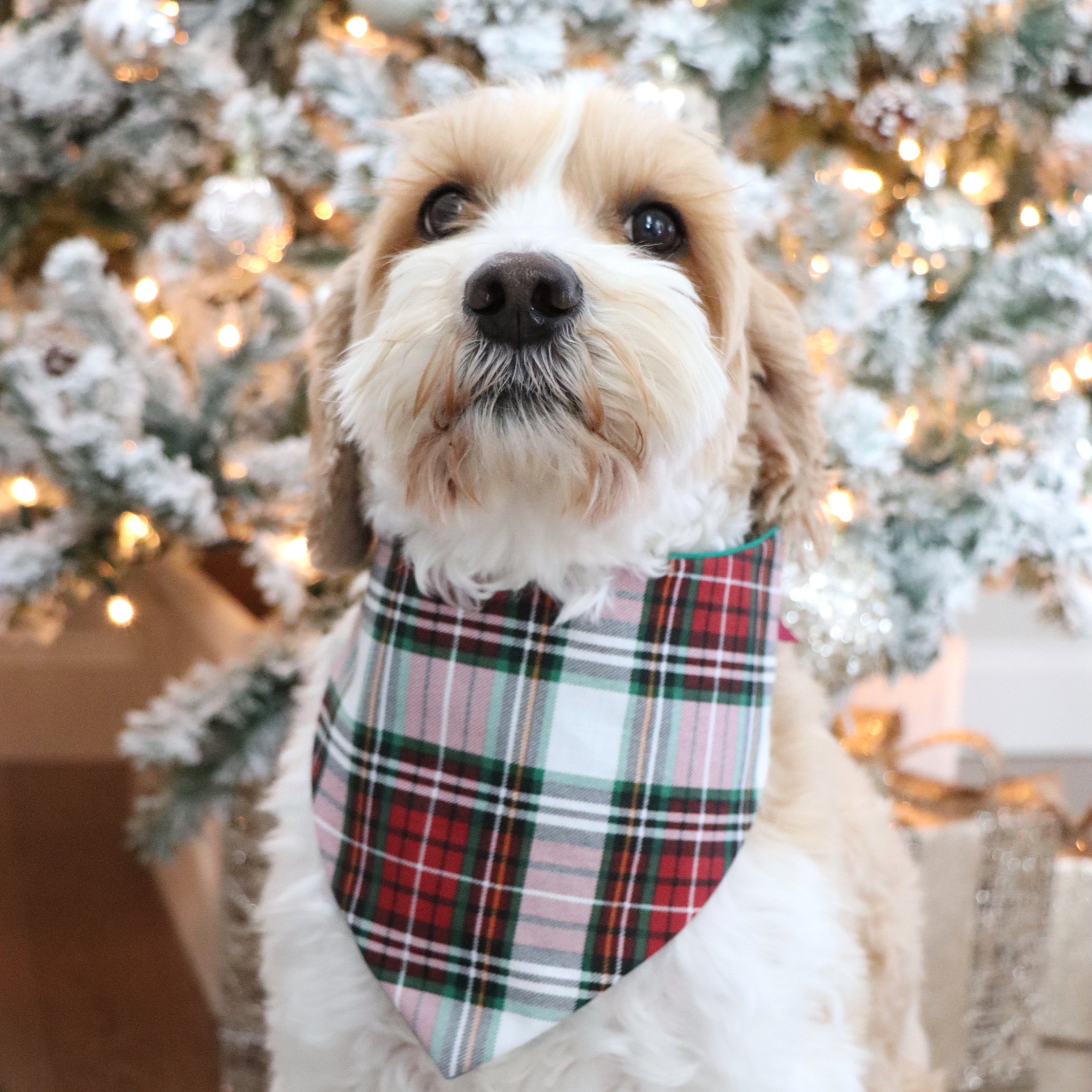 Royal Plaid Christmas Tie-On Dog Bandana hotsell