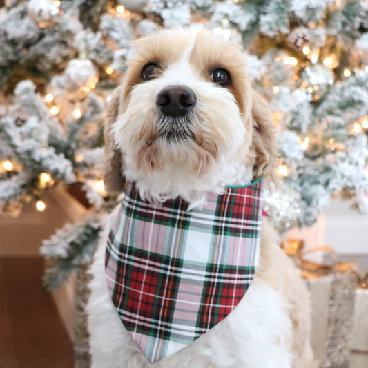 CLASSIC CHRISTMAS PLAID -  CLASSIC DOG BANDANA