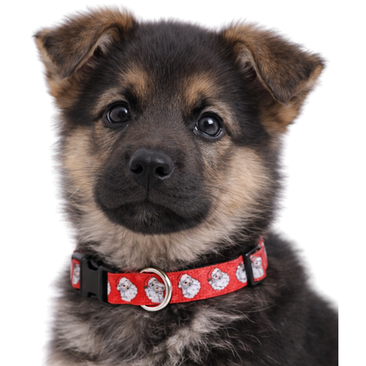 SANTA - EXTRA SMALL COLLAR