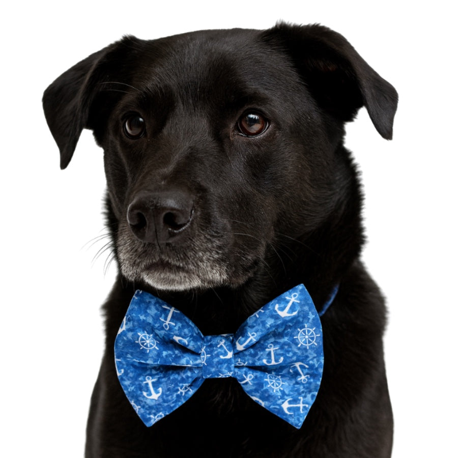 AHOY! - DAPPER DEXTER DOG BOW TIE