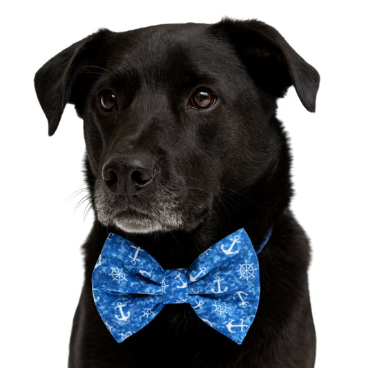 AHOY! - DAPPER DEXTER DOG BOW TIE