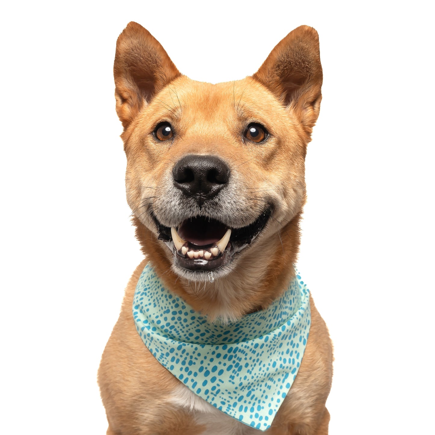 MINT SPECKS - CLASSIC DOG BANDANA