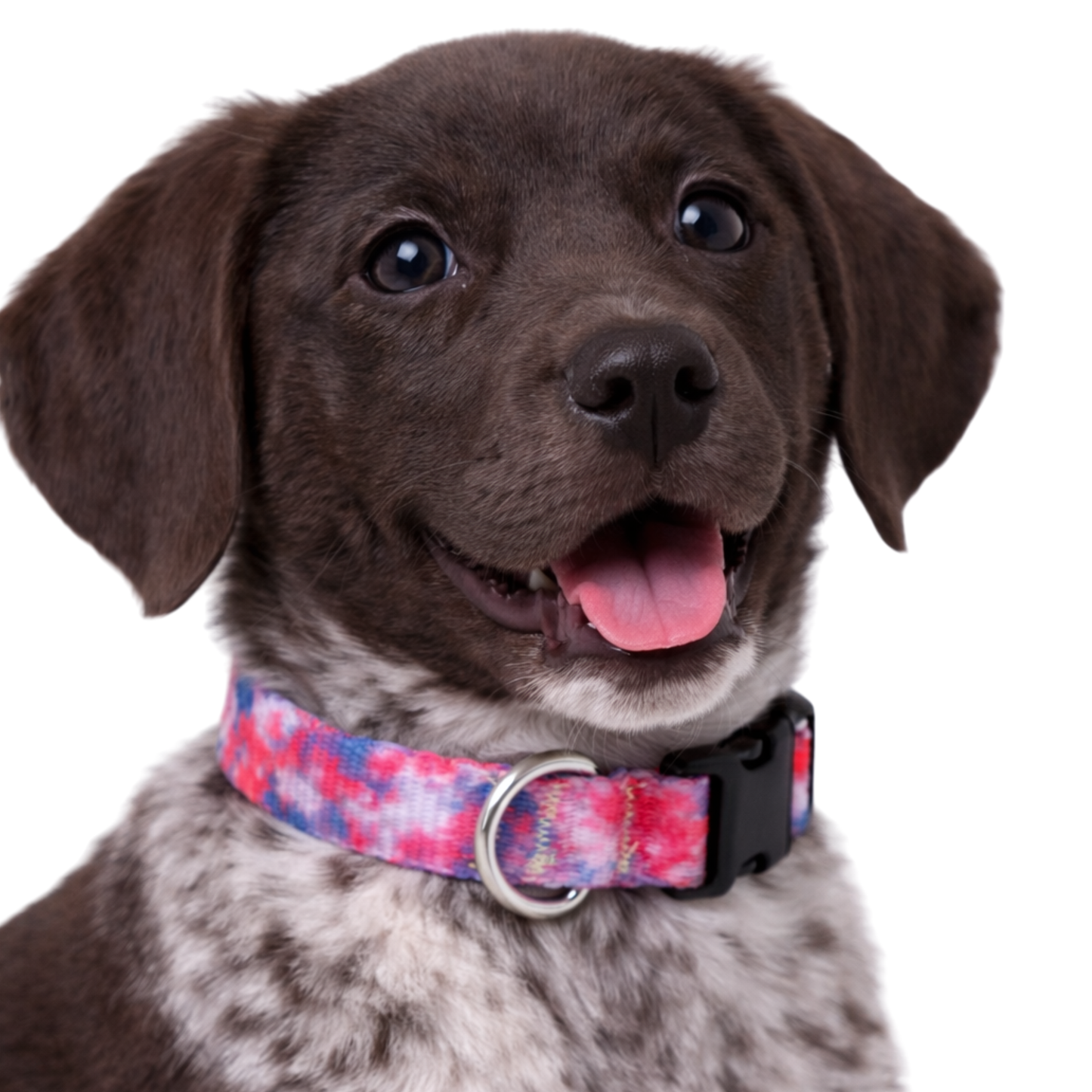 PINK AND PURPLE TIE DYE - EXTRA SMALL COLLAR