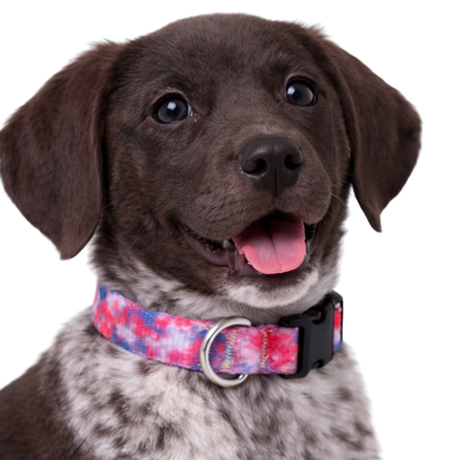 PINK AND PURPLE TIE DYE - EXTRA SMALL COLLAR