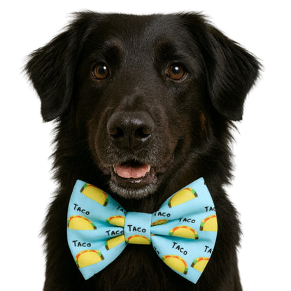 TACO- DAPPER DEXTER DOG BOW TIE