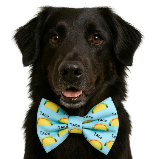 TACO- DAPPER DEXTER DOG BOW TIE