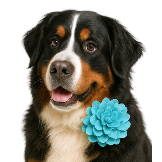 TEAL - COLLAR FLOWER