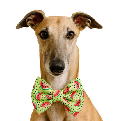GREEN WATERMELON- DAPPER DEXTER DOG BOW TIE